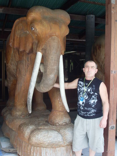   ,   , 65 ,   ,   