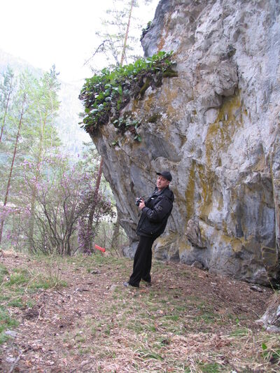  ,   , 54 ,     , c , 