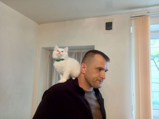  ,   Loki, 36 ,   ,   