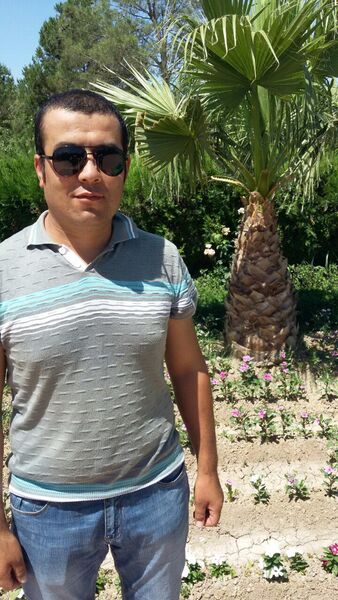  -,   , 39 ,   ,   
