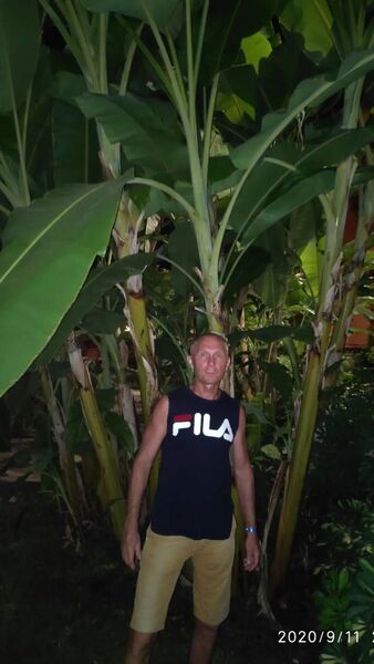  ,   , 58 ,   ,   , c 