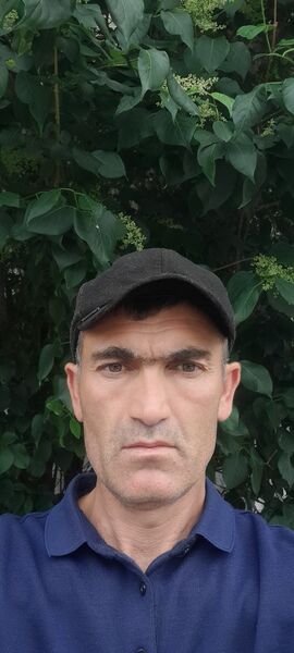  --,   , 43 ,   ,   