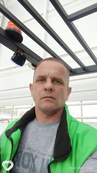  ,   , 46 ,   ,   , 