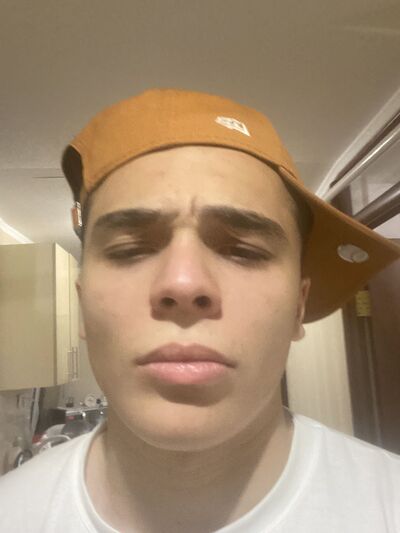  Celarevo,   , 24 ,   ,   