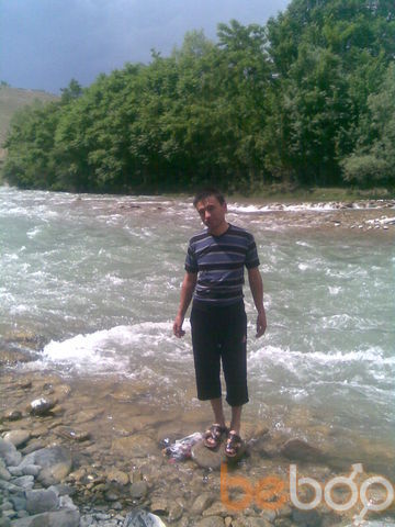  ,   Lion, 43 ,  