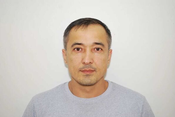  -,   , 44 ,   ,   