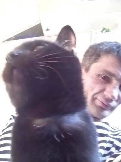  -,   , 52 ,   ,   , c 