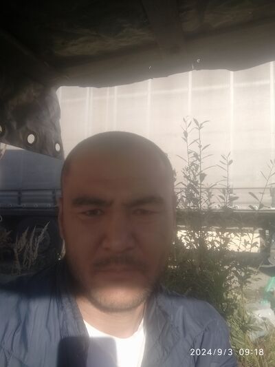  ,   SHRIK, 39 ,   ,   
