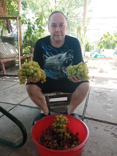  ,   , 47 ,   c 