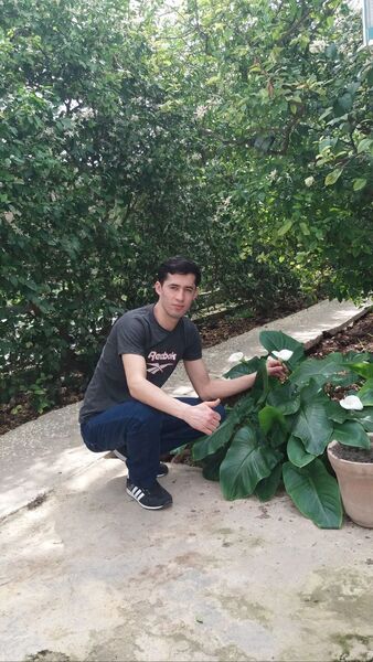  ,   Hasan, 31 ,   ,   