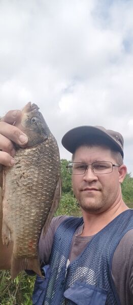  ,   , 31 ,   c 