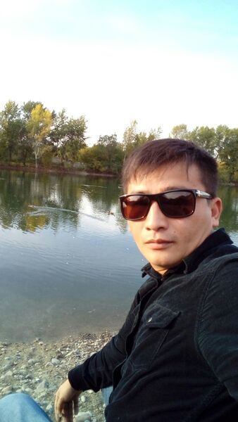  -,   , 38 ,   ,   , c 