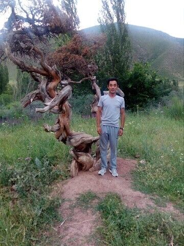  ,   , 38 ,   ,   , c 