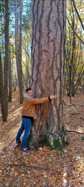  Alhambra,   Alexandr, 34 ,   ,   