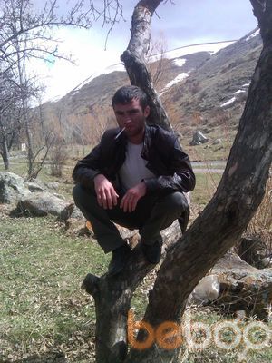  ,   GEVO, 33 ,   