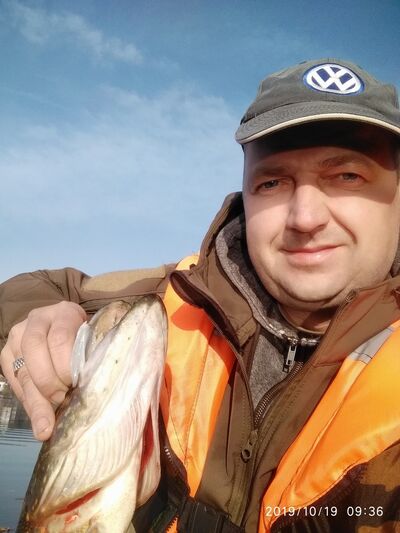  ,   Stells, 46 ,   ,   , c 