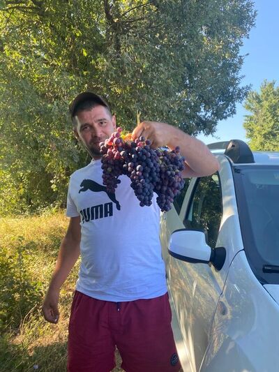  -,   Vadim, 41 ,   ,   