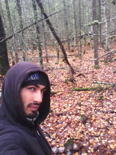  --,   , 36 ,   