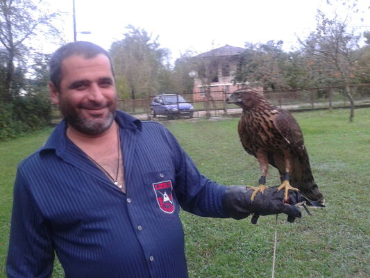  ,   Zaali, 52 ,   