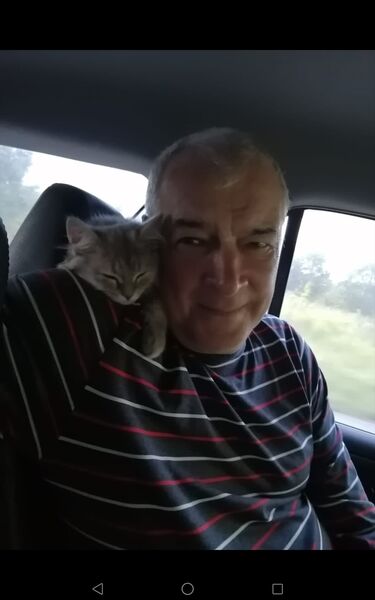  ,   , 71 ,   ,   
