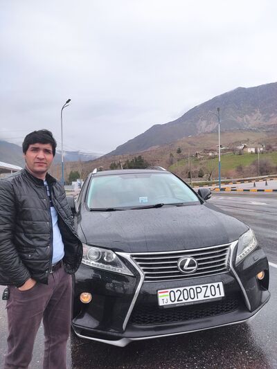  ,   Lion, 30 ,   ,   
