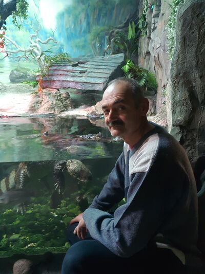 ,   , 56 ,     , c 