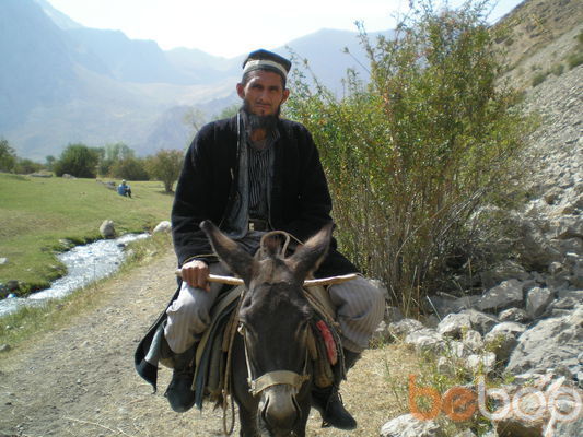  ,   Maks, 41 ,   ,   , c 