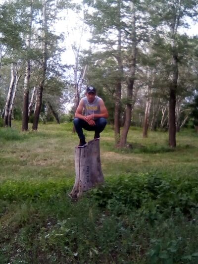  ,   , 38 ,     , c , 