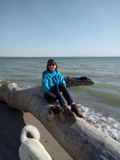  ,   , 61 ,  