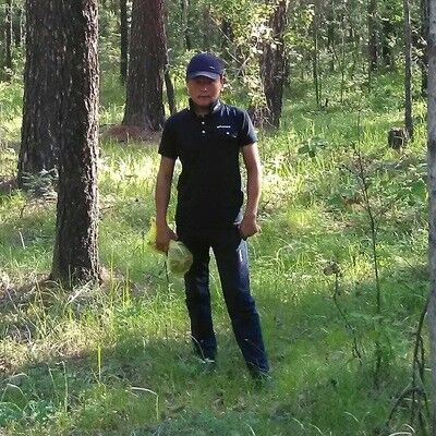  11640934  , 40 ,    -