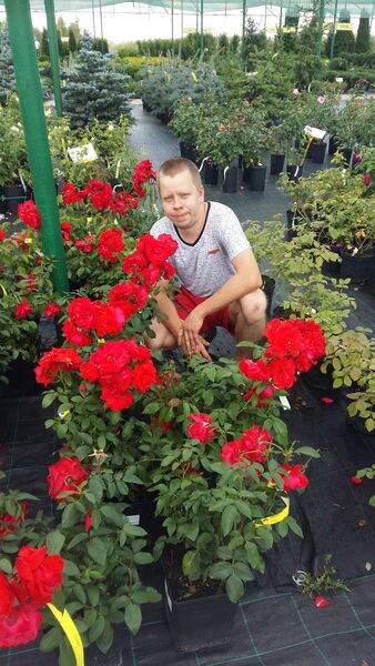  ,   Aleks, 32 ,   