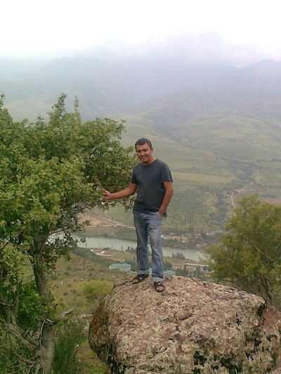  ,   Jambul, 41 ,   