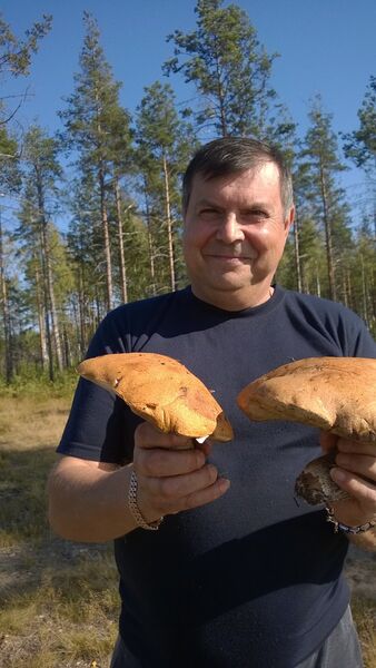  -,   Vladimir, 61 ,     , c 