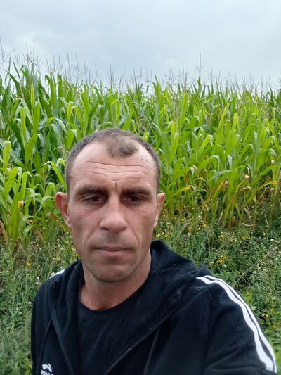  ,   , 40 ,   ,   