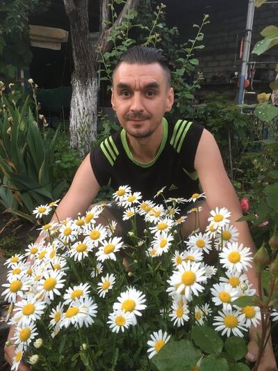  ,   , 41 ,   c , 
