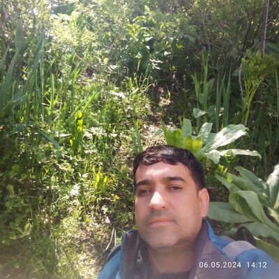  -,   Zoir, 44 ,   ,   