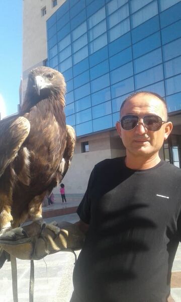   ,   , 55 ,   ,   