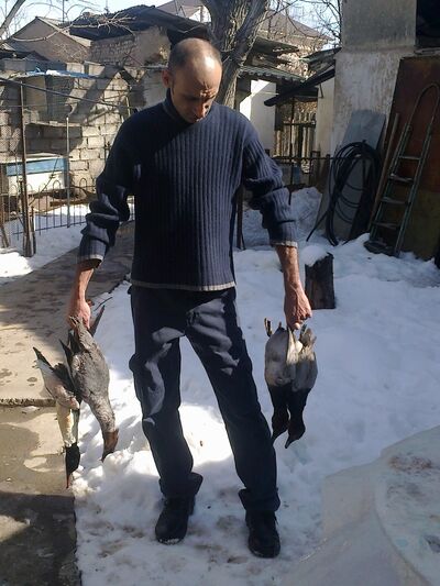  ,   Ali, 43 ,   ,   , c 