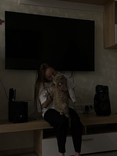  ,   , 24 ,  