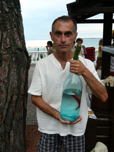  ,   Sanwel, 50 ,     , c 