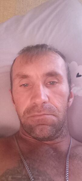  -,   , 43 ,   ,   