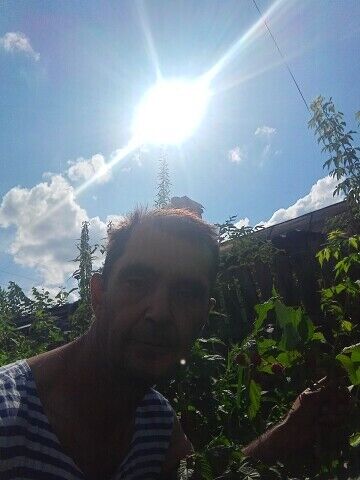 ���������� �����������, ���� ������� ������, 52 ����, ������������ 