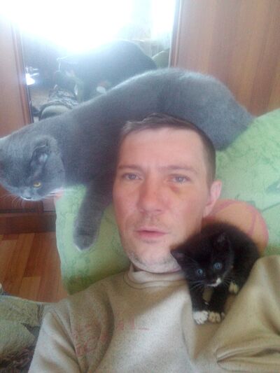  ,   , 44 ,  