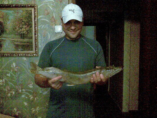  --,   , 40 ,   ,   , c 