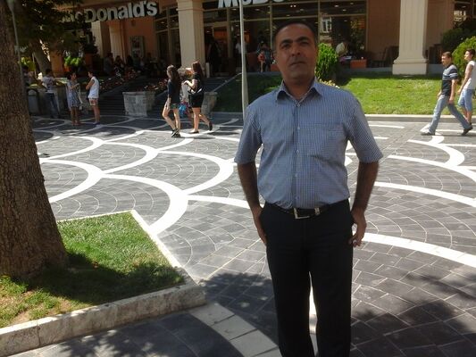  ,   CAVID, 50 ,   