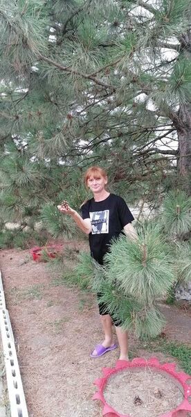  ,   , 47 ,   ,   , c , 