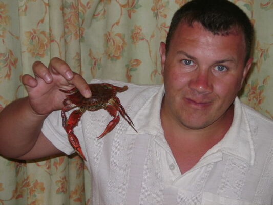  ,   , 48 ,   ,   , c 