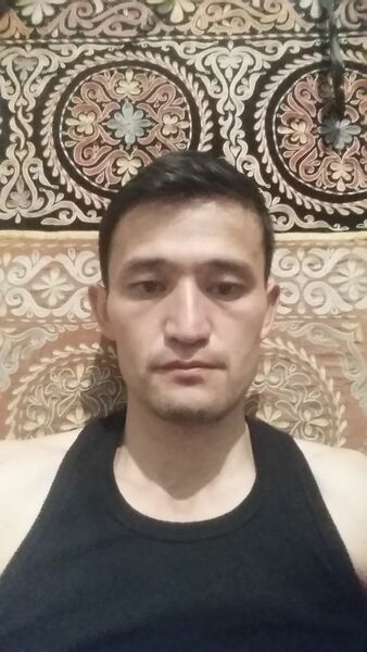  ,   Kizatolla, 37 ,     , c 