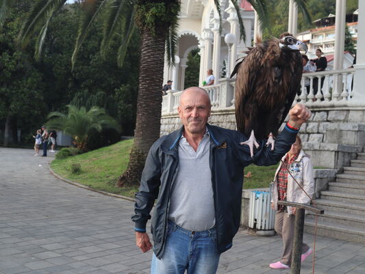  -,   , 60 ,   ,   