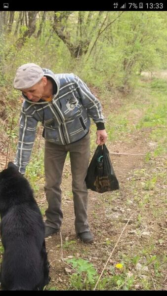  ,   , 54 ,   ,   , c , 